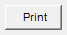 8. Print button