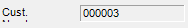 5. Customer Account Number Display