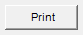22. Print button