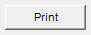 11. Print button