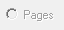 13. Pages option