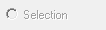 15. Selection option