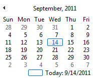 5. To Date Option