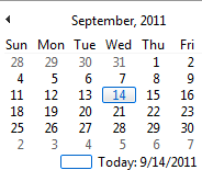 6. From Date Option