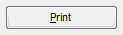 12. Print button